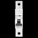 BILL 40 AMP CURVE B 10kA MCB CIRCUIT BREAKER THB401