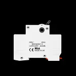 MEM 100 AMP DOUBLE POLE MAIN SWITCH DISCONNECTOR ADSN100R