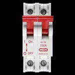 MEM 100 AMP DOUBLE POLE MAIN SWITCH DISCONNECTOR AC22 AD100