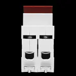 NIGLON 100 AMP DOUBLE POLE MAIN SWITCH DISCONNECTOR ISO2100