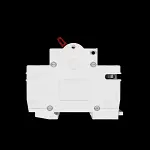 WYLEX 100 AMP DOUBLE POLE MAIN SWITCH DISCONNECTOR WS102 AC22A