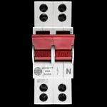 WYLEX 100 AMP DOUBLE POLE MAIN SWITCH DISCONNECTOR WS102-TT AC22A