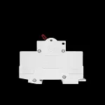 WYLEX 100 AMP DOUBLE POLE MAIN SWITCH DISCONNECTOR WS102-TT AC22A