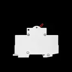 WYLEX 100 AMP DOUBLE POLE MAIN SWITCH DISCONNECTOR WS102-TT AC22A