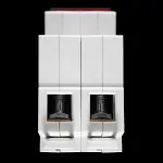 WYLEX 100 AMP DOUBLE POLE MAIN SWITCH DISCONNECTOR WS102-TT AC22A
