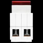 WYLEX 100 AMP DOUBLE POLE MAIN SWITCH DISCONNECTOR WS102-TT AC22A