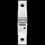 DORMAN SMITH 6 AMP CURVE B 10kA MCB CIRCUIT BREAKER K1PB06
