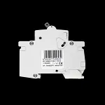 DORMAN SMITH 32 AMP CURVE D 10kA MCB CIRCUIT BREAKER K1PD32
