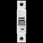 DORMAN SMITH 32 AMP CURVE B 10kA MCB CIRCUIT BREAKER X1PB32