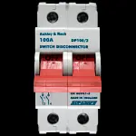 ASHLEY & ROCK 100 MAIN SWITCH DISCONNECTOR DOUBLE POLE DP100/2 AC-22B SUPASAFE
