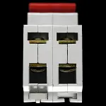 ASHLEY & ROCK 100 MAIN SWITCH DISCONNECTOR DOUBLE POLE DP100DE/2 AC-22B SUPASAFE