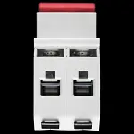 BRITISH GENERAL 100 AMP DOUBLE POLE MAIN SWITCH DISCONNECTOR CUSW100 BG S2
