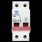 CED 100 AMP DOUBLE POLE MAIN SWITCH DISCONNECTOR CUT2100