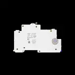 LEWDEN B 10 RCBO 6kA 30mA TYPE AC 10/30/SP