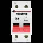 CGD 100 AMP DOUBLE POLE MAIN SWITCH DISCONNECTOR CGD-100MS
