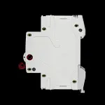 C-PAK 45 MAIN SWITCH DISCONNECTOR DOUBLE POLE ISO63-2