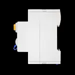 CPN 100 AMP 100mA DOUBLE POLE RCD TYPE AC RC2100/100