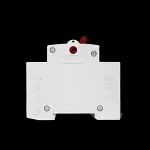 DANSON 100 AMP DOUBLE POLE MAIN SWITCH DISCONNECTOR E-DM
