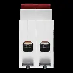 DANSON 100 AMP DOUBLE POLE MAIN SWITCH DISCONNECTOR E-DM