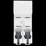 DANSON 100 AMP DOUBLE POLE MAIN SWITCH DISCONNECTOR E-DM