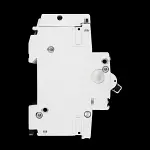DORMAN SMITH 32 AMP CURVE C 10kA 30mA DOUBLE POLE RCBO AR3230