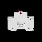 DORMAN SMITH 100 AMP DOUBLE POLE MAIN SWITCH DISCONNECTOR AV2100