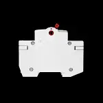 DORMAN SMITH 100 AMP DOUBLE POLE MAIN SWITCH DISCONNECTOR AV2100