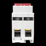 DORMAN SMITH 100 AMP DOUBLE POLE MAIN SWITCH DISCONNECTOR AV2100