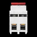 DORMAN SMITH 100 AMP DOUBLE POLE MAIN SWITCH DISCONNECTOR AV2100