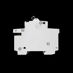 DORMAN SMITH 20 AMP TYPE 2 M9 DOUBLE POLE MCB CIRCUIT BREAKER AD202