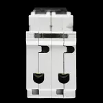 DORMAN SMITH 20 AMP TYPE 2 M9 DOUBLE POLE MCB CIRCUIT BREAKER AD202