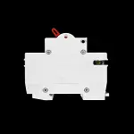 DORMAN SMITH 100 AMP DOUBLE POLE MAIN SWITCH DISCONNECTOR AC22A AV2100