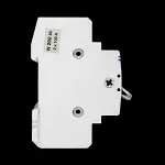 DORMAN SMITH 100 AMP DOUBLE POLE MAIN SWITCH DISCONNECTOR SD2100