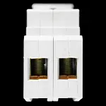 DORMAN SMITH 100 AMP DOUBLE POLE MAIN SWITCH DISCONNECTOR SD2100