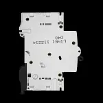 DORMAN 40 AMP CURVE D 6kA MCB CIRCUIT BREAKER AS40D BC