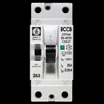 ED 25 RCCB DOUBLE POLE 30mA 253