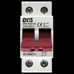 ERIS 100 AMP MAIN SWITCH DISCONNECTOR DOUBLE POLE ERS2MS100