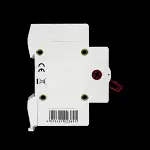 ERIS 100 AMP MAIN SWITCH DISCONNECTOR DOUBLE POLE ERS2MS100