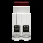 ERIS 100 AMP MAIN SWITCH DISCONNECTOR DOUBLE POLE ERS2MS100