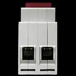 ERIS 100 AMP MAIN SWITCH DISCONNECTOR DOUBLE POLE ERS2MS100