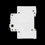 EXCEL 100 AMP DOUBLE POLE MAIN SWITCH DISCONNECTOR EXMS2100