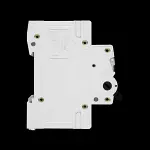 EXCEL 100 AMP DOUBLE POLE MAIN SWITCH DISCONNECTOR EXMS2100