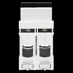 EXCEL 100 AMP DOUBLE POLE MAIN SWITCH DISCONNECTOR EXMS2100