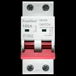 FUSEBOX 100 MAIN SWITCH DISCONNECTOR DOUBLE POLE IT1002 AC22A