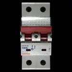 GEWISS 100 MAIN SWITCH DISCONNECTOR DOUBLE POLE GW96198 AC-22A