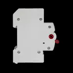 HAMILTON 100 MAIN SWITCH DISCONNECTOR DOUBLE POLE