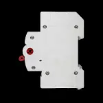 HAMILTON 100 MAIN SWITCH DISCONNECTOR DOUBLE POLE