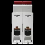 HAMILTON 100 MAIN SWITCH DISCONNECTOR DOUBLE POLE