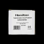 HAMILTON 100 AMP 100mA DOUBLE POLE RCD TYPE AC HLRCD100100A
