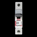LEGRAND 40 AMP CURVE B 6kA MCB CIRCUIT BREAKER 06164 061 64